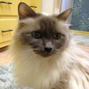 Ina Schilling's photo