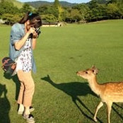 Foto von Misty Huang