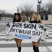 Leila Sleiman's photo