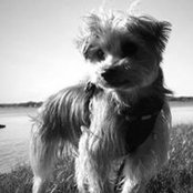 Danielle Bent's photo