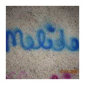 Melida Fonseca's photo
