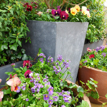 Spring Plantings