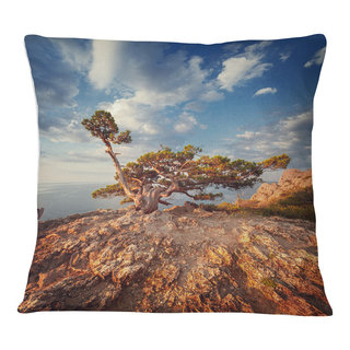 Designart Big Tree - Photography Throw Pillow - 18x18, Size: 18 x 18