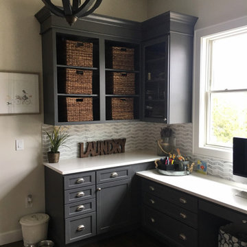 Shoreview Overlook Project