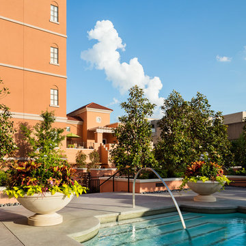 Luxury Hotel and Resort Photography-Rosewood Mansion on Turtle Creek