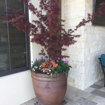 Pots for Flowers, Pots for Trees!