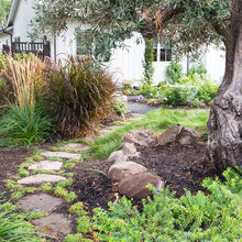 Landscape Ideas