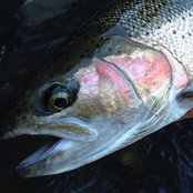 Matt Siegmund's photo