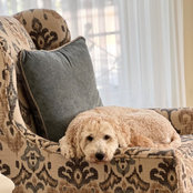 Realtor Fabi's photo