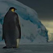 Jean Lemire's photo