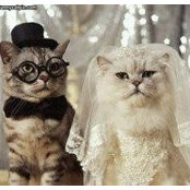 Laura Sorenson Russell's photo