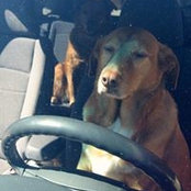 Karen Shoemaker's photo