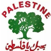 Foto von Wasim Diab
