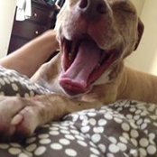 Justin Uchtman's photo