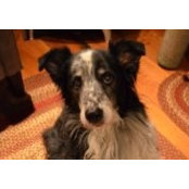 Judy Wheeler's photo