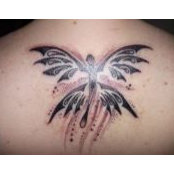 Kathy Murphy's photo