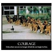 Robert De Mello's photo