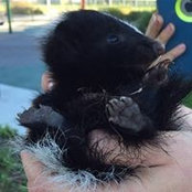 Colette Dunleavy's photo