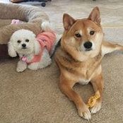 Nancy Siemers's photo