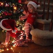 Crystal Carlow's photo