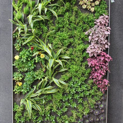 Living Wall System Residential - Artwork