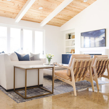Coastal Modern Living Room 2020
