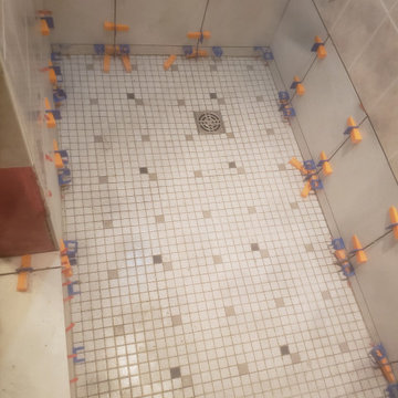 Shower Remediation (Budget Emerg)