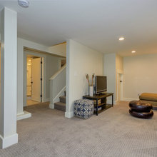 Basement Carpet