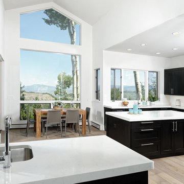 Aspen, Colorado Transitional Residence-Alpine White Oak