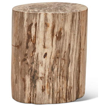 Relique Petrified Wood Stump, Fully Polished, Natural Light