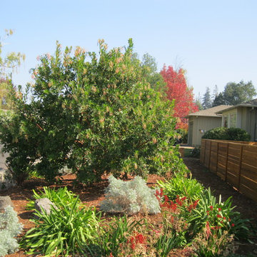 Color with Contemporary Fence