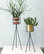 Plant Stand, Large