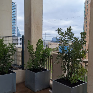 Austin Power Plants and Planting