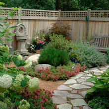 backyard ideas