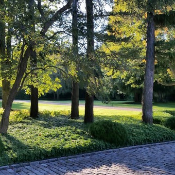 Residential Landscape Maintenance