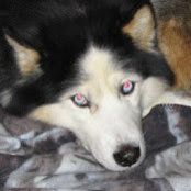Judy Lavachek's photo