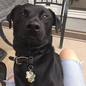 Lindsey Ulmer's photo
