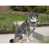 Raymond Haag's photo