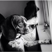 Janice Shreve's photo