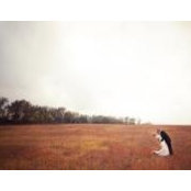 Laura Friedrichs's photo