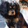 genevieve_marechal