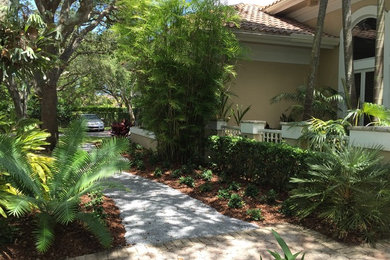 Design ideas for a tropical landscaping in Miami.