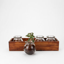 Plant pots