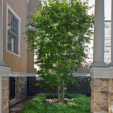 Native serviceberry tree with boxwood parterre