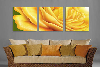 Three Panel yellow Rose Canvas Prints