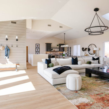 After Remodel - Great Room - Modern Luxury with Color