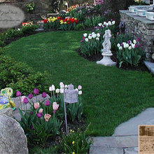 spring garden