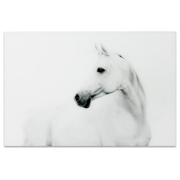 White Horse Wall Art Frameless Free Floating Tempered Glass Panel, 48" x 32"