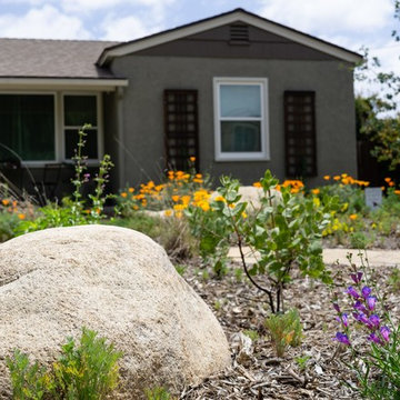 Front Yard Makeover