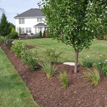 Yorkville - Landscaping Berm